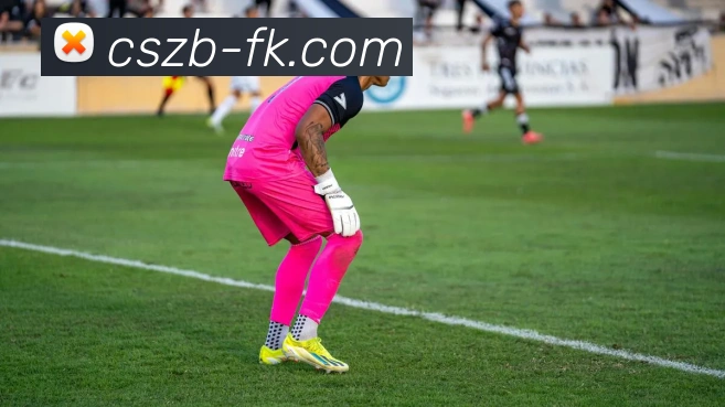 彩神争霸APP 体育赛事宣传图